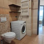 Z Basenem I Salonem Apartment Sztutowo
